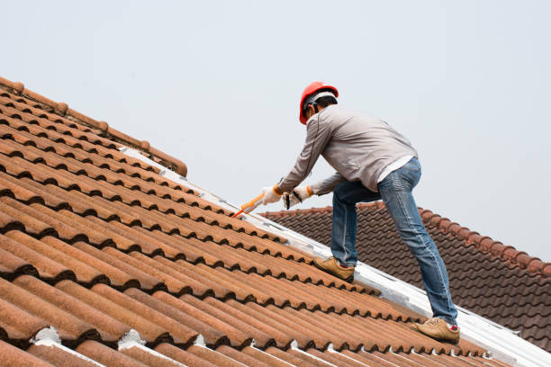Best Wood Shake Roofing  in Palmetto, FL